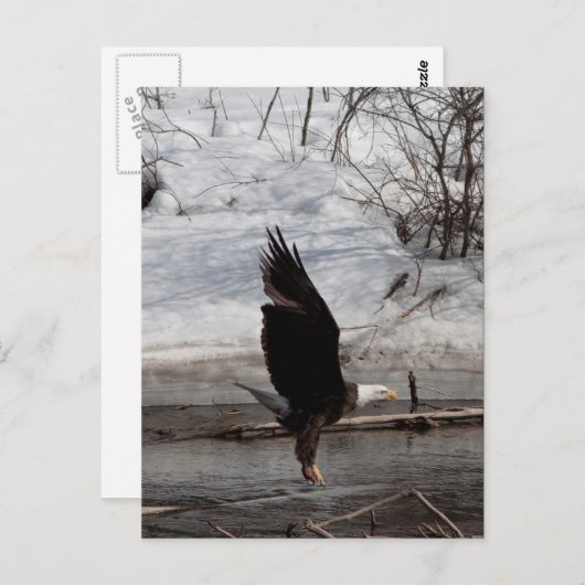 Bereit für das Leben Postkarte (Vorne/Hinten)