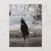 Bereit für das Leben Postkarte (Vorderseite)