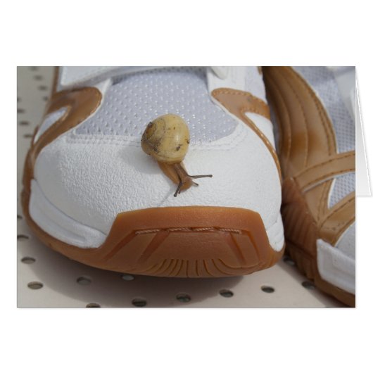 Bereit für den Schneckenritt (Vorderseite (Horizontal))