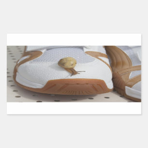 Bereit für den Schneckenritt Rechteckiger Aufkleber