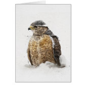 Bereit für den Schnee (Vorne)