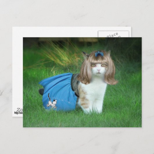 Bereit für den Sockenschlauch! Postkarte (Vorne/Hinten)