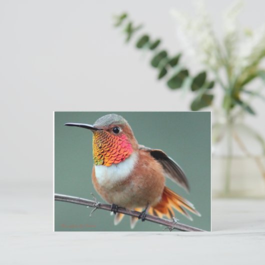 Bereit für den Start Postkarte (Stehend Vorderseite)