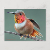 Bereit für den Start Postkarte (Vorderseite)