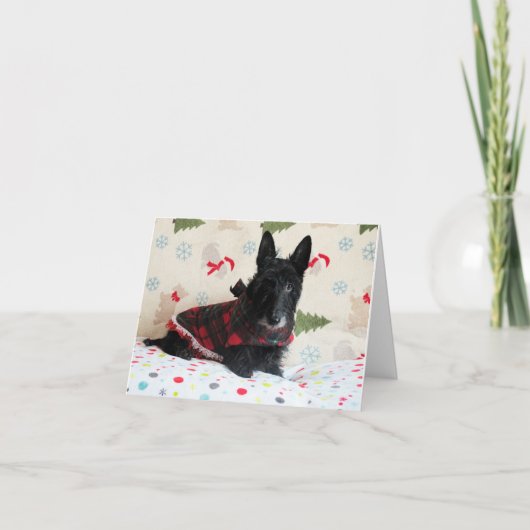 Bereit für die Weihnachtskarte (mit Text) Karte (Vorderseite)