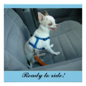 Bereit für ein glänzendes Poster (Vorderseite)