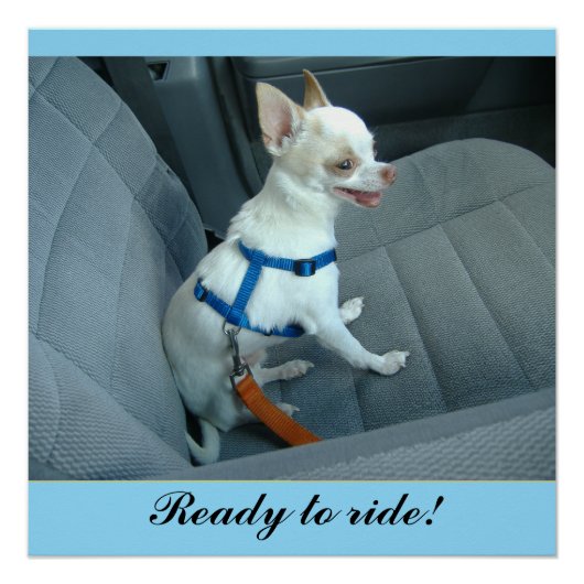 Bereit für ein glänzendes Poster (Vorderseite)