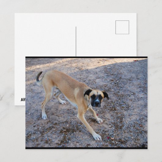 Bereit zu spielen postkarte (Vorne/Hinten)
