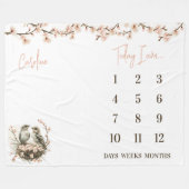 Bereit zum Hatch! Niedliche Birds Baby Milestone Fleecedecke (Vorderseite (Horizontal))