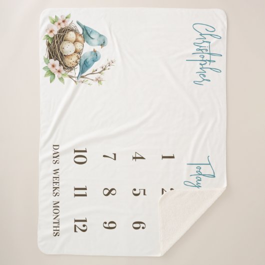 Bereit zum Hatch! Niedliche Birds Baby Milestone Sherpadecke (Vorderseite)