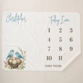 Bereit zum Hatch! Niedliche Birds Baby Milestone Sherpadecke (Vorderseite (Horizontal))