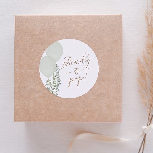 Bereit zum Pop Sage Green Ballon Twin Baby Dusche Runder Aufkleber