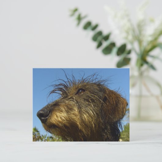 Bereit zur Jagd Postkarte (Stehend Vorderseite)