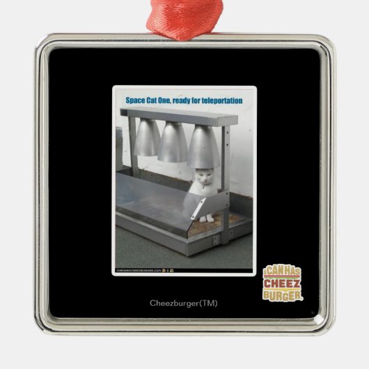 Bereiten Sie für Teleportation vor Silbernes Ornament (Vorne)