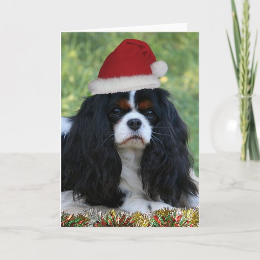 Bereiten Sie für Weihnachten vor (Vorderseite)