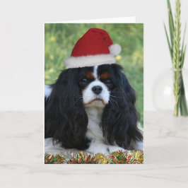 Bereiten Sie für Weihnachten vor