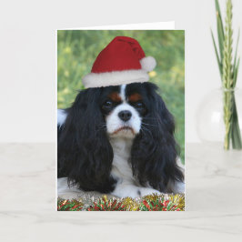 Bereiten Sie für Weihnachten vor