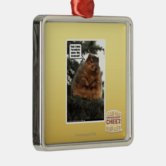 Bereiten Sie für Winter vor Silbernes Ornament (Rechts)