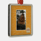 Bereiten Sie für Winter vor Silbernes Ornament (Rechts)