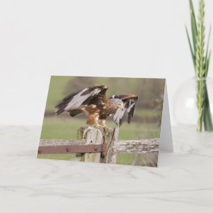 Bereiten Sie sich für sich entfernen vor Karte