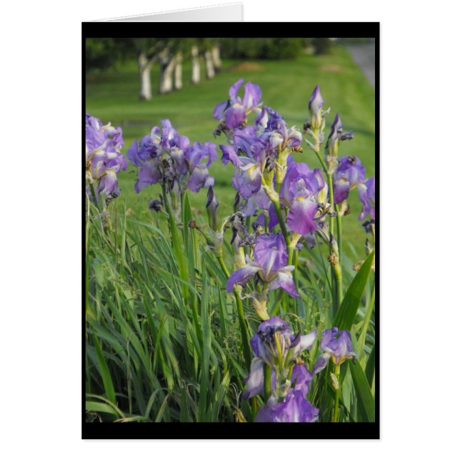 Bereiten Sie so für Frühling ~ 21 vor (Vorne)