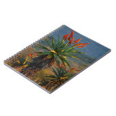 Berg Aloe (Aloe Marlothii Berger) 2 Notizblock (Linke Seite)