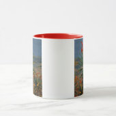 Berg Aloe (Aloe Marlothii Berger) 2 Tasse (Zentrum)