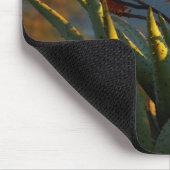 Berg Aloe (Aloe Marlothii Berger) Mousepad (Ecke)