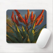 Berg Aloe (Aloe Marlothii Berger) Mousepad (Mit Mouse)