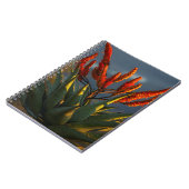 Berg Aloe (Aloe Marlothii Berger) Notizblock (Linke Seite)