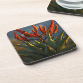 Berg Aloe (Aloe Marlothii Berger) Untersetzer (Linke Seite)