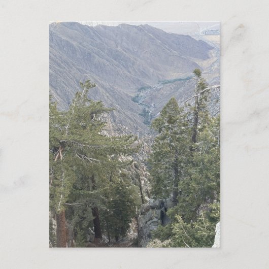 Berg-Canyon-Aussichtspunkt Postkarte (Vorderseite)