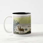 Berg Chimborazo, Ecuador, von 'Le Costume Ancien Zweifarbige Tasse (Links)