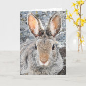 Berg Cottontail Notecard Karte (Gelbe Blume)