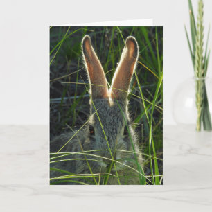 Berg Cottontail Notecard Karte
