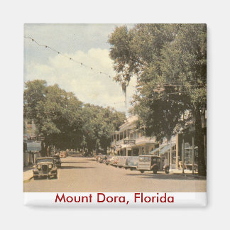 Berg Dora, Florida Magnet