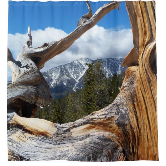 Berg durch einen Baumduschvorhang Duschvorhang (Vorderseite)