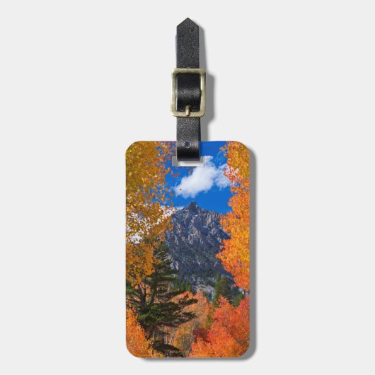 Berg eingerahmt im Herbstlaub, CA Gepäckanhänger (Vorderseite vertikal)