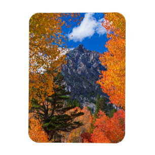 Berg eingerahmt im Herbstlaub, CA Magnet