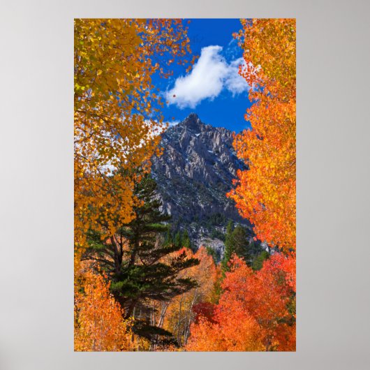 Berg eingerahmt im Herbstlaub, CA Poster (Vorne)