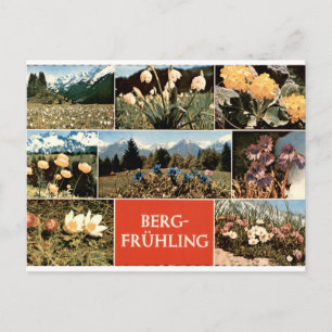 Berg Frühling Vintage Alpine Blumen Multiview Postkarte