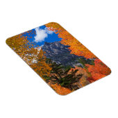 Berg gerahmt im Herbstwald, CA Magnet (Rechte Seite)