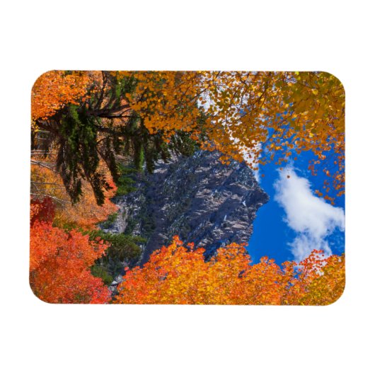 Berg gerahmt im Herbstwald, CA Magnet (Horizontal)