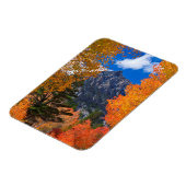 Berg gerahmt im Herbstwald, CA Magnet (Linke Seite)