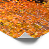 Berg gerahmt im Herbstwald, CA Poster (Ecke)