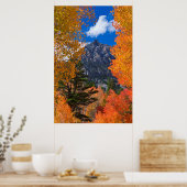 Berg gerahmt im Herbstwald, CA Poster (Küche)