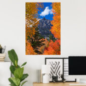 Berg gerahmt im Herbstwald, CA Poster (Heimbüro)