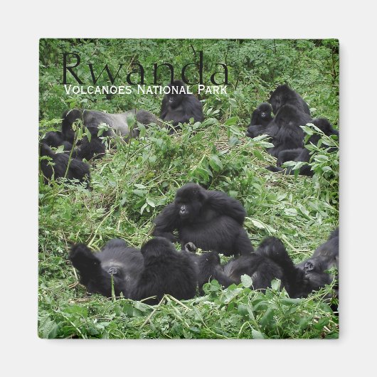 Berg-Gorilla-Gruppe in Ruanda Textmagnet Magnet (Vorne)
