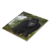 Berg Gorilla und Silverback Fliese (Seite)