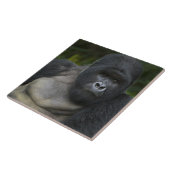 Berg Gorilla und Silverback Fliese (Seite)